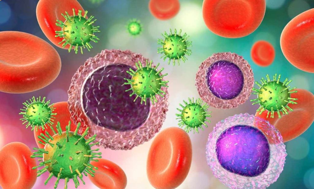 How Long Does Immune Memory Last After an Infection