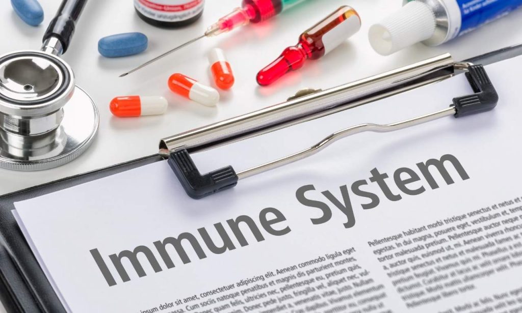 Immune System After Age 40