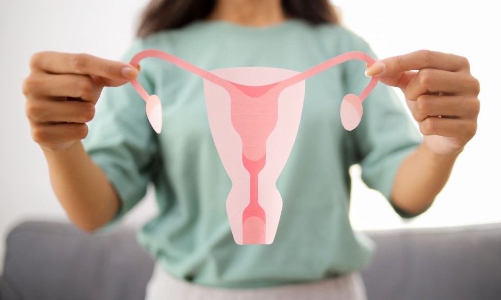 What does cervical mucus look like after ovulation