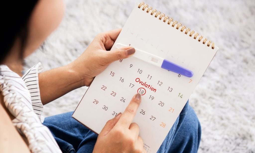 stress delay ovulation