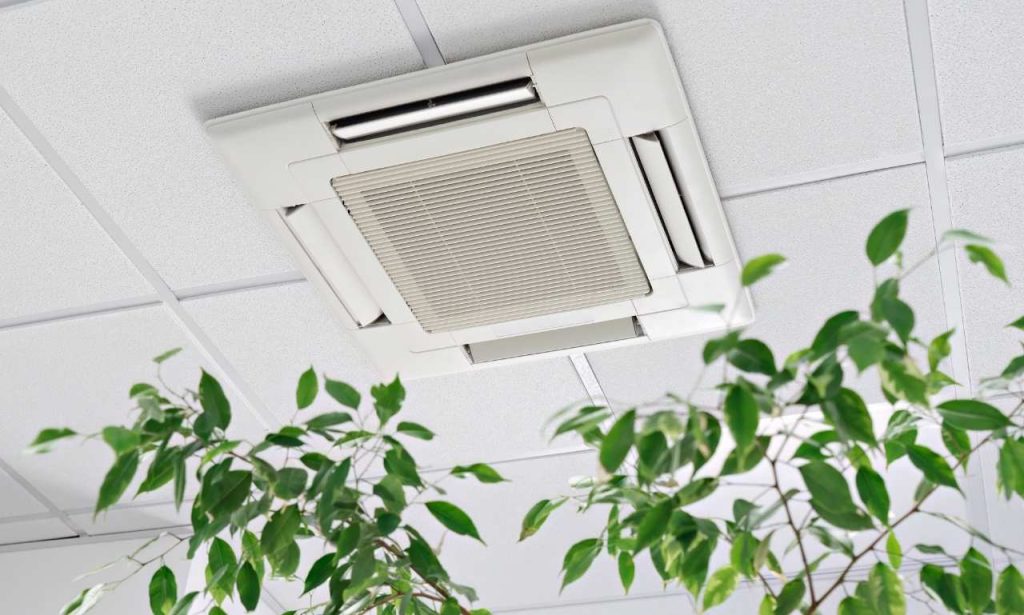 Can Poor Indoor Air Quality Affect Immunity?